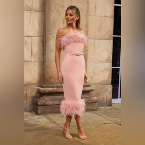 COPY - Nadine Merabi Colette Blush Dress — brand new with tags on.
